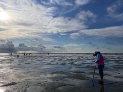 -北海金海湾红树林生态旅游区