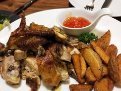 -百好乐宠物友好餐厅(朝外大街店)