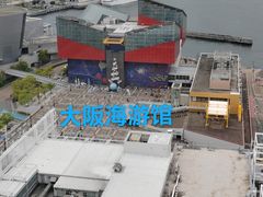 -大阪海游馆