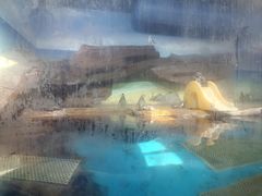 -海合安武汉极地海洋公园