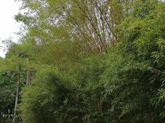 -荔香公园