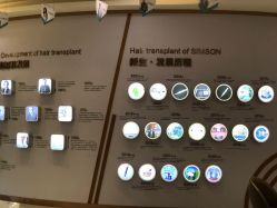 -新生植发·植养护一体