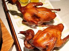 -大鸽饭(岗顶店)