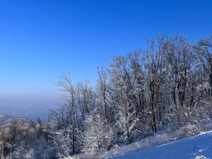 -中旅松花湖滑雪场