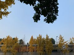 -鹿岛会员店 (龙湖三千集天街店)