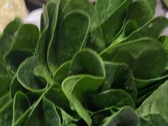 -南门四季铜锅涮肉(大屯·北苑店)