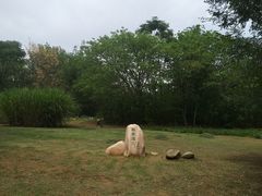 -盘龙城国家考古遗址公园