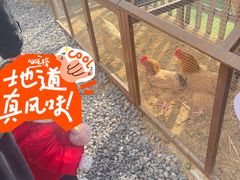 -HERRE·FARM 赫尔露营农场·团建聚会包场