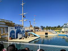 -秦皇岛乐岛海洋王国