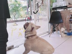 -平行世界·猫咖(首经贸店)