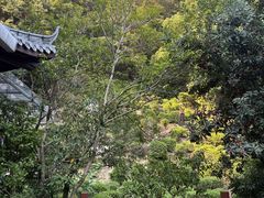 -十八棵（老龙井）御茶园(老龙井店)