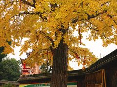 -金堂县云顶石城风景区