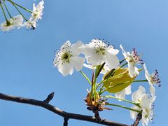 -名花谷生态庄园