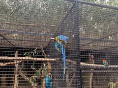 -费瑟代尔野生动物园