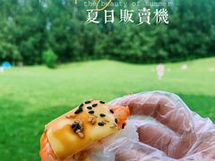 -长白岛森林公园