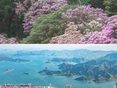 -梧桐山风景名胜区