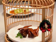 圣诞鸽子-不贰小院(余姚多元文化创意园店)