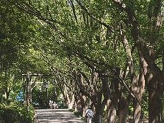 -天目湖山水园