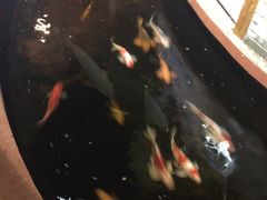 -侠成水上农庄(工业大道店)