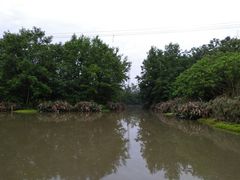 -桤木河湿地公园