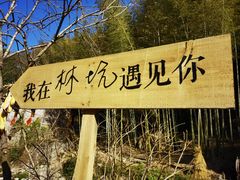 -林坑古村落