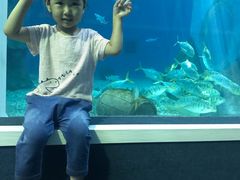 -北戴河圣蓝海洋公园