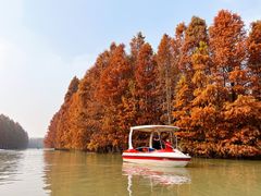 -上海海湾国家森林公园