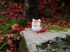 -常寂光寺