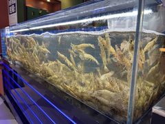 -0048鲜活香辣虾·火锅(铜陵路店)