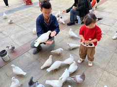 -大鹏佳兆业广场