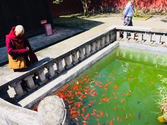 -窦圌山风景区