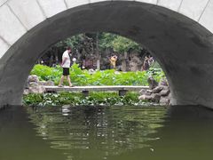 -莲湖公园