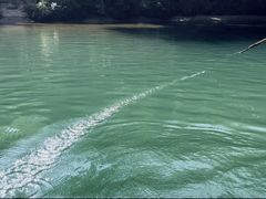 -九曲溪竹筏码头