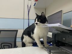 -中农国际动物医院24小时·猫科·骨科·急重症中心