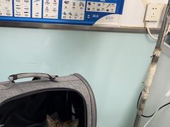 -达爱动物医院·犬猫分区·CT·复杂眼科(远洋山水分院)
