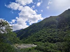-黄龙山原始森林景区