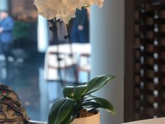 -京兆尹(雍和宫店)