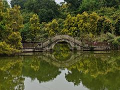 -张坝桂圆林公园