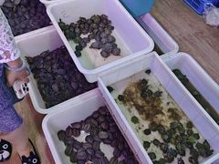 -华声天桥民俗文化园