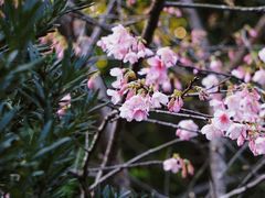 -华南国家植物园-售票处