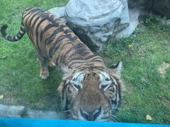 -北京野生动物园