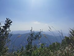 -梧桐山风景名胜区