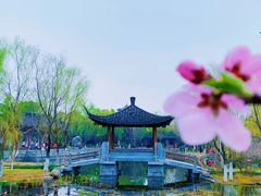 -武汉园博园(武汉自然博物馆)