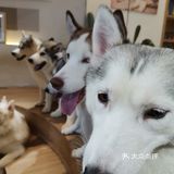 爱琴海购物公园の撸狗之旅