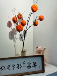-DELAVAY黛乐薇抗衰中心