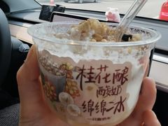 -一只酸奶牛(双流万达广场店)
