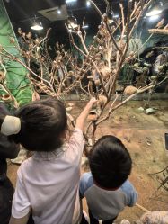 -Zoolung Zoolung动物主题公园(海信广场店)