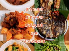 -呀诺达热带雨林