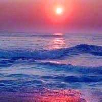 -薇兰专业脱毛连锁机构