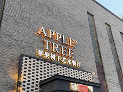 -苹果树下艺术餐厅(通州店)